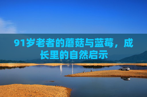 91岁老者的蘑菇与蓝莓，成长里的自然启示