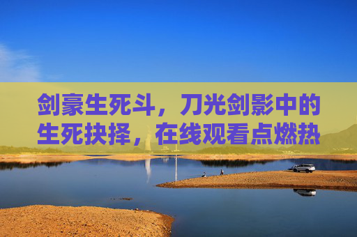 剑豪生死斗，刀光剑影中的生死抉择，在线观看点燃热血激情