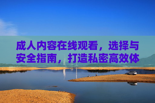 成人内容在线观看，选择与安全指南，打造私密高效体验