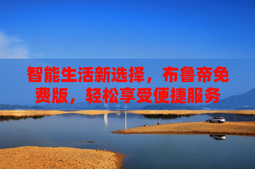智能生活新选择，布鲁帝免费版，轻松享受便捷服务