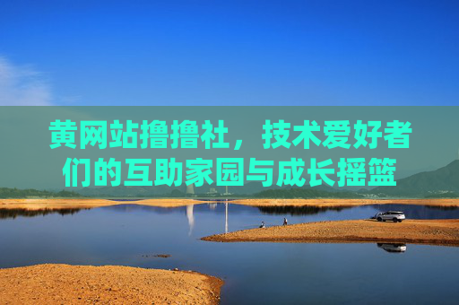 黄网站撸撸社，技术爱好者们的互助家园与成长摇篮