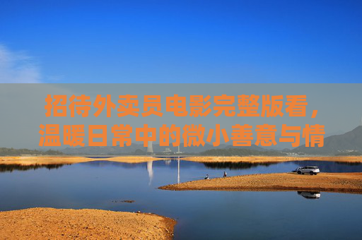 招待外卖员电影完整版看，温暖日常中的微小善意与情感共鸣