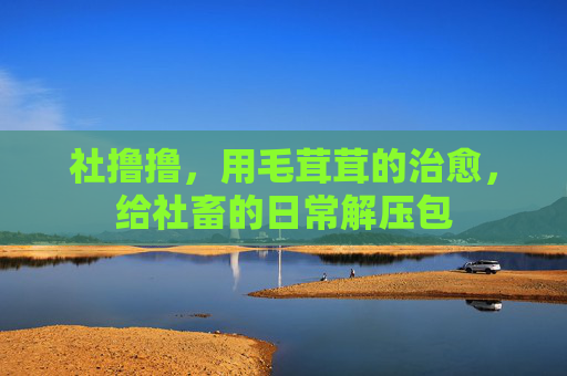 社撸撸，用毛茸茸的治愈，给社畜的日常解压包