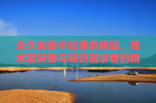 永久免费不收费的网站，技术爱好者与知识追求者的精神家园