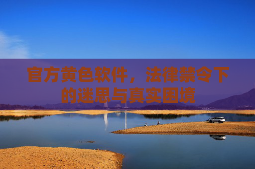 官方黄色软件，法律禁令下的迷思与真实困境