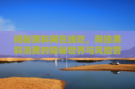 揭秘黑料网在线吃，网络黑料消费的隐秘世界与风险警示