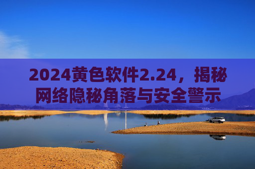 2024黄色软件2.24，揭秘网络隐秘角落与安全警示