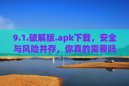 9.1.破解版.apk下载，安全与风险并存，你真的需要吗？