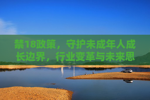 禁18政策，守护未成年人成长边界，行业变革与未来思考