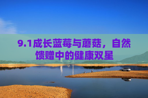 9.1成长蓝莓与蘑菇，自然馈赠中的健康双星