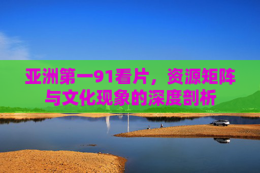 亚洲第一91看片，资源矩阵与文化现象的深度剖析