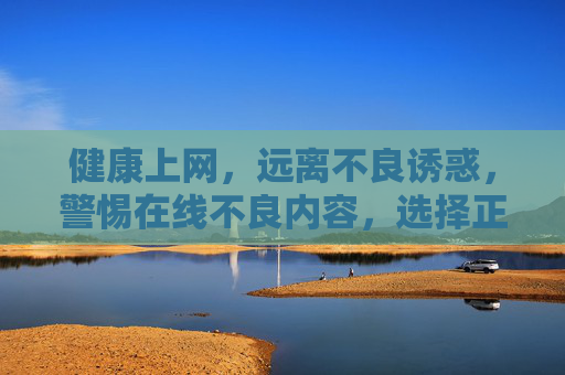 健康上网，远离不良诱惑，警惕在线不良内容，选择正能量的娱乐方式