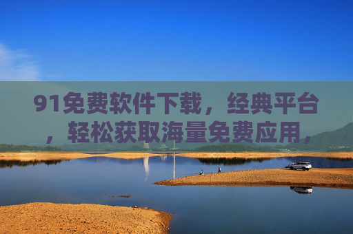 91免费软件下载，经典平台，轻松获取海量免费应用，满足各类需求