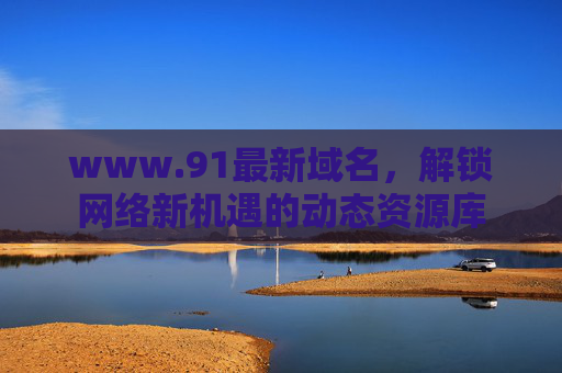 www.91最新域名，解锁网络新机遇的动态资源库