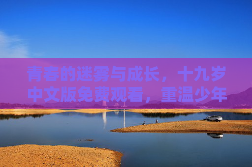青春的迷雾与成长，十九岁中文版免费观看，重温少年时代的懵懂与热血
