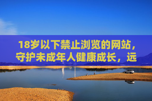 18岁以下禁止浏览的网站，守护未成年人健康成长，远离不良信息侵蚀