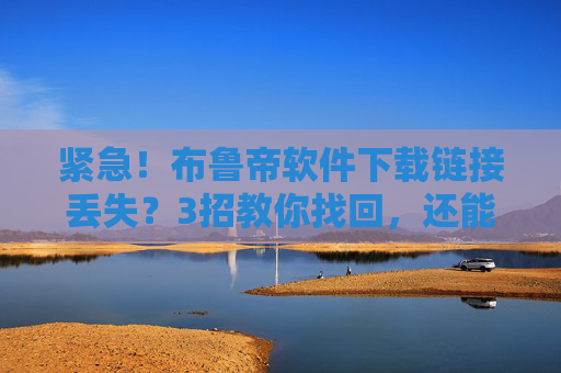 紧急！布鲁帝软件下载链接丢失？3招教你找回，还能永久保存