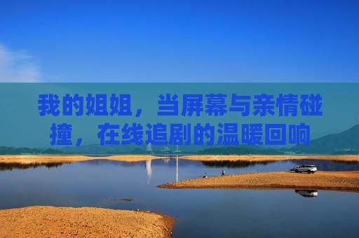 我的姐姐，当屏幕与亲情碰撞，在线追剧的温暖回响