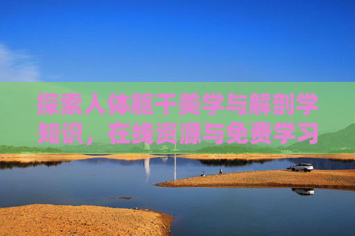探索人体躯干美学与解剖学知识，在线资源与免费学习路径