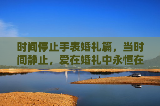 时间停止手表婚礼篇，当时间静止，爱在婚礼中永恒在线观看体验