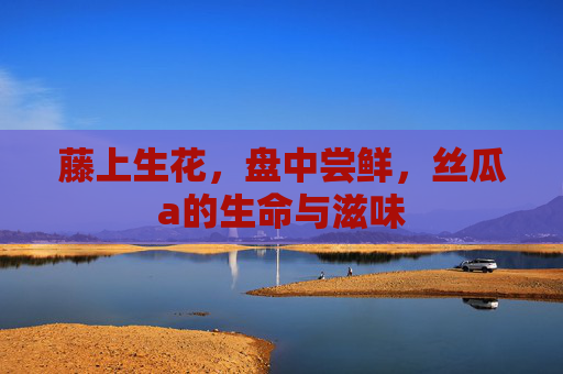 藤上生花，盘中尝鲜，丝瓜a的生命与滋味