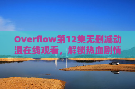 Overflow第12集无删减动漫在线观看，解锁热血剧情的完整体验