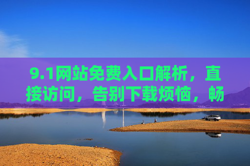 9.1网站免费入口解析，直接访问，告别下载烦恼，畅享资源新体验