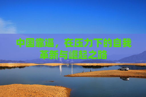 中国靠逼，在压力下的自我革新与崛起之路