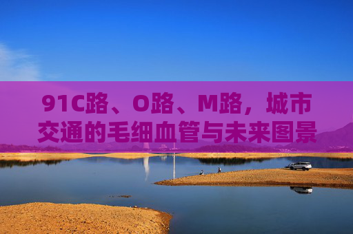 91C路、O路、M路，城市交通的毛细血管与未来图景