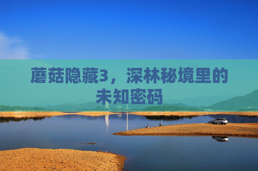 蘑菇隐藏3，深林秘境里的未知密码