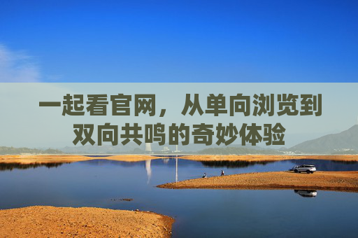 一起看官网，从单向浏览到双向共鸣的奇妙体验