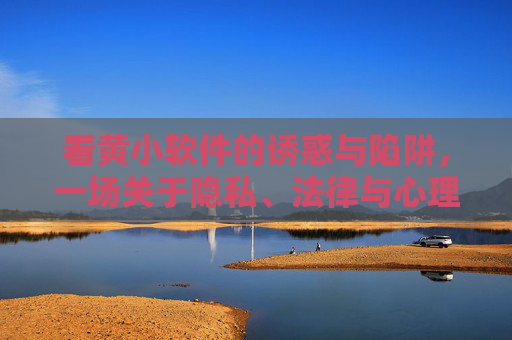 看黄小软件的诱惑与陷阱，一场关于隐私、法律与心理健康的警示之旅
