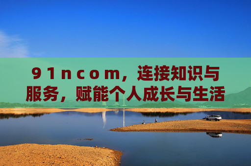 9 1 n c o m，连接知识与服务，赋能个人成长与生活