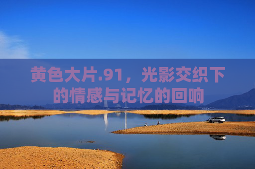 黄色大片.91，光影交织下的情感与记忆的回响