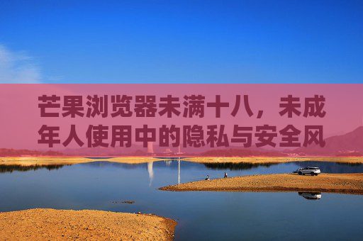 芒果浏览器未满十八，未成年人使用中的隐私与安全风险警示与建议