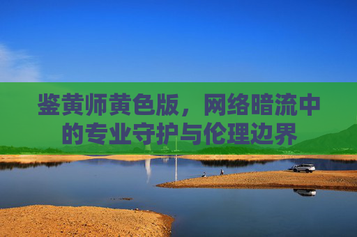 鉴黄师黄色版，网络暗流中的专业守护与伦理边界