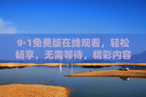 9·1免费版在线观看，轻松畅享，无需等待，精彩内容触手可及
