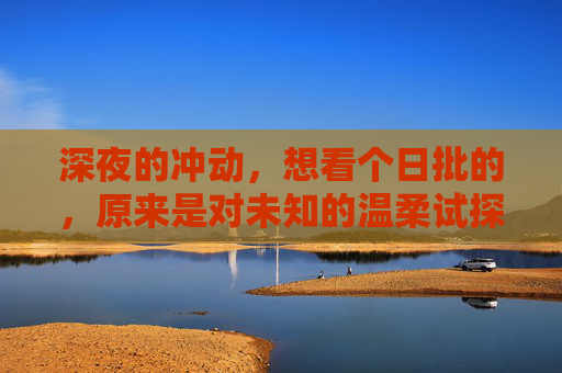 深夜的冲动，想看个日批的，原来是对未知的温柔试探