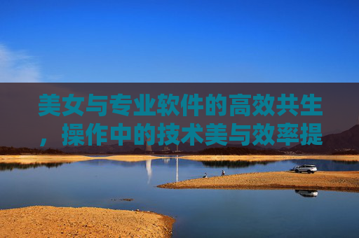 美女与专业软件的高效共生，操作中的技术美与效率提升