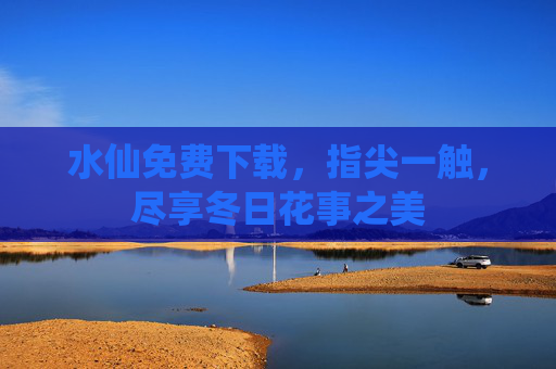 水仙免费下载，指尖一触，尽享冬日花事之美