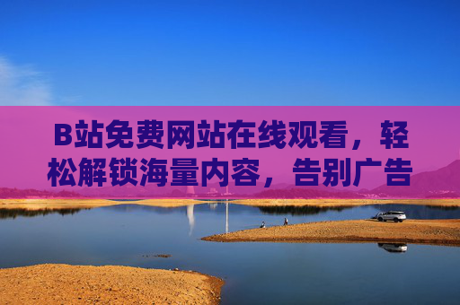 B站免费网站在线观看，轻松解锁海量内容，告别广告与限速的困扰