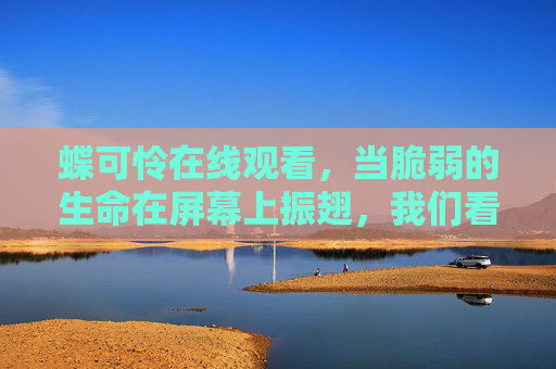 蝶可怜在线观看，当脆弱的生命在屏幕上振翅，我们看见的不仅是画面，更是对生命的敬畏
