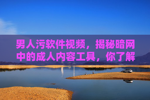 男人污软件视频，揭秘暗网中的成人内容工具，你了解其背后的风险与真相吗？