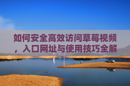 如何安全高效访问草莓视频，入口网址与使用技巧全解析