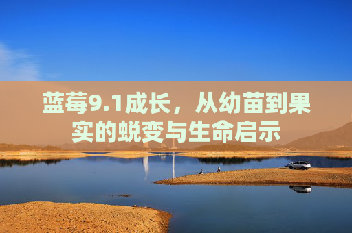 蓝莓9.1成长，从幼苗到果实的蜕变与生命启示