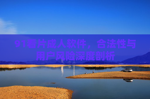 91看片成人软件，合法性与用户风险深度剖析