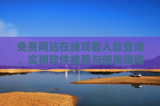 免费网站在线观看人数查询，实用软件推荐与使用指南
