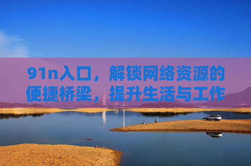 91n入口，解锁网络资源的便捷桥梁，提升生活与工作效率的利器