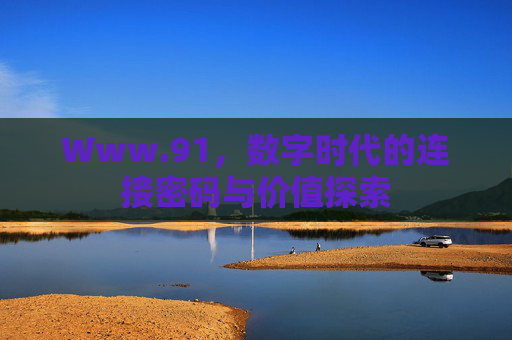 Www.91，数字时代的连接密码与价值探索