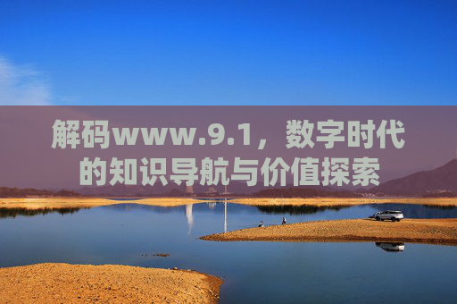 解码www.9.1，数字时代的知识导航与价值探索